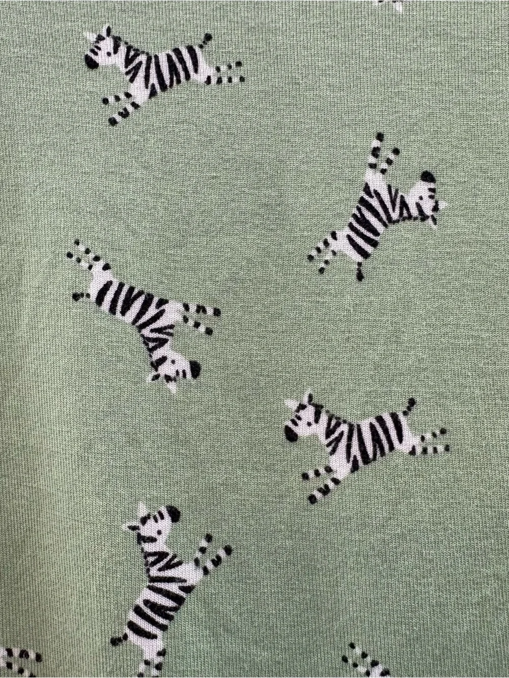 Little Me green zebra print two piece bamboo pajama set size 3t